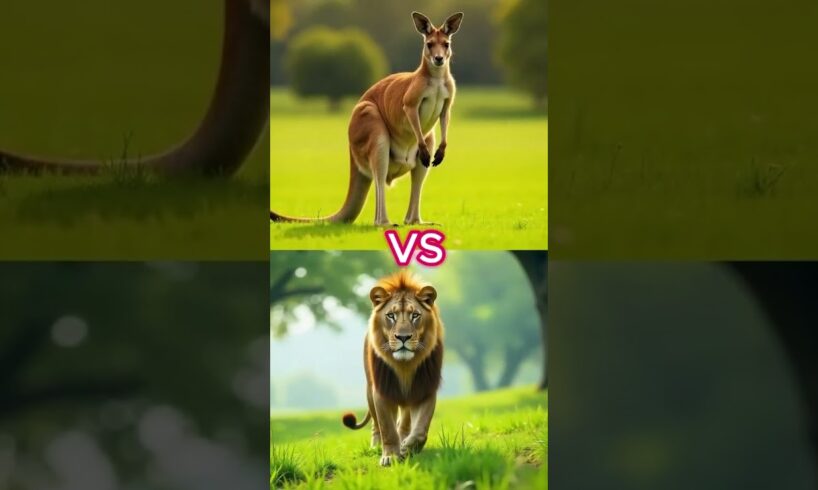 Animals fights #lion #fusion#hybrids  #animals #animalfight #ai #shorts #shortvideo