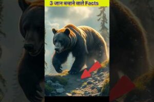 Awesome facts 😎👍 #amazingfacts #factsinhindi #shorts #ytshorts