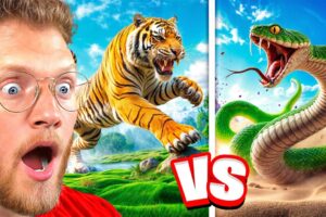 BECKBROS React To TOP 5 WILD ANIMAL BATTLES