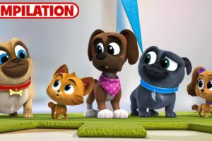 Best of Puppy Dog Pals Season 5 | 51 Minutes | Compilation | Disney Junior