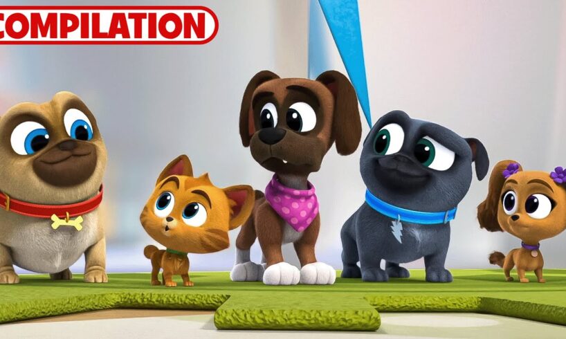 Best of Puppy Dog Pals Season 5 | 51 Minutes | Compilation | Disney Junior