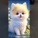 CUTE PUPPIES 🐶 #trendingsong #Twisha 2.0 ##trendingsong #puppies...