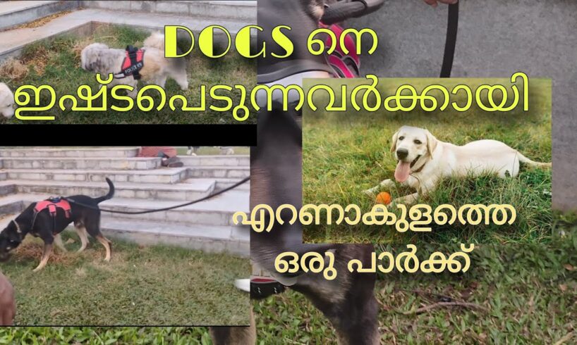 CUTEST PUPPIES | DAILY കാഴ്ചകൾ | Eranakulam park  #dog  #youtubevideo