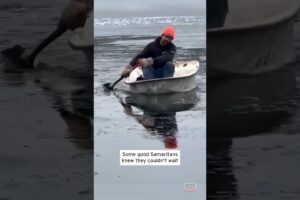 Cat Rescued From Icy Lake #shorts