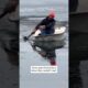 Cat Rescued From Icy Lake #shorts