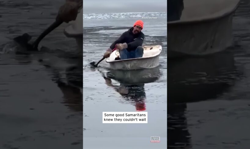 Cat Rescued From Icy Lake #shorts