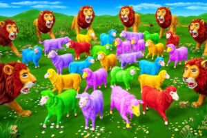 Color Sheep Gang Attacks Lions - Farm vs Wild Animals Fights | Animal Encounter Adventures!