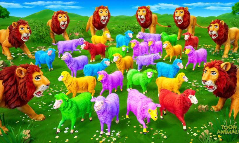 Color Sheep Gang Attacks Lions - Farm vs Wild Animals Fights | Animal Encounter Adventures!