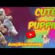 Cute Puppies 🐕 || @AnujKaranVlogs || Doggy Ke Cute Puppies 🐕 ||