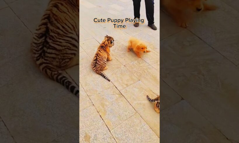 Cute Puppy Playing Time With Tiger Cub 🐶🐕 / #shorts #shortvideo #viralshorts #cute #puppy #pets