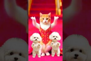 Cute puppies dance video 🐕❤️ #dogdance #catdance #shorts