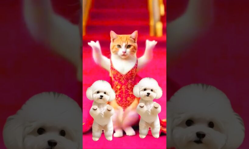 Cute puppies dance video 🐕❤️ #dogdance #catdance #shorts