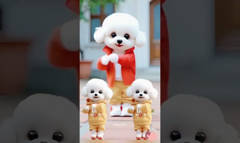 Cute puppies funny dance clips 😄🐶#cute #cuteanimal #shots #dogstatus