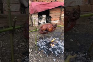 Cute puppies ready to eat roasted chicken #short #cute #pets #trending #viralvideo #ytshorts