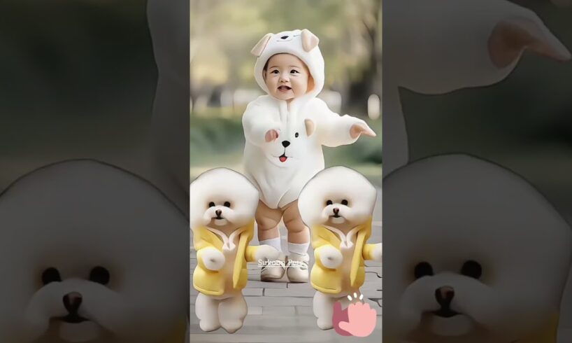 Cute puppy wonderful shots 🐶😂 #cute #puppies #love #dance  #shots