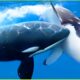 DEADLIEST Attacks of Orca Caught on Camera | Animal Fighting