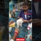 Dog Pat Market Kolkata /lowest price puppy dog/Gallif Street dogs