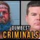 Dumbest Criminals: Oct-Dec 2024 (Crimes Of The Week Compilation)