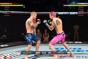 EA SPORTS UFC 5 Street Fights