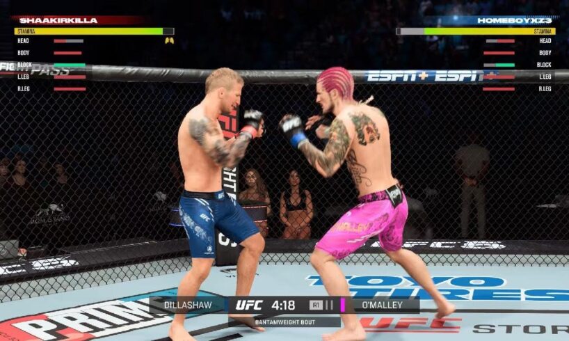 EA SPORTS UFC 5 Street Fights