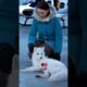 Heartwarming RescueMother Saves White Arctic Fox and Kit | Arctic Wildlife Fox RescueAnimal #shorts