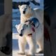 Heroic Rescue: Woman Saves Helpless Bear from Iron Trap! #polarbear #resque #animals #ai #shorts