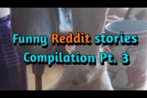 Hilarious reddit stories Compilation Pt. 3