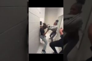 Hood girl fights