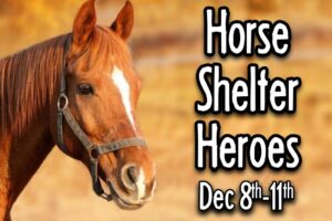 Horse Shelter Heroes | Dec 8-11, 2024