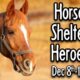 Horse Shelter Heroes | Dec 8-11, 2024