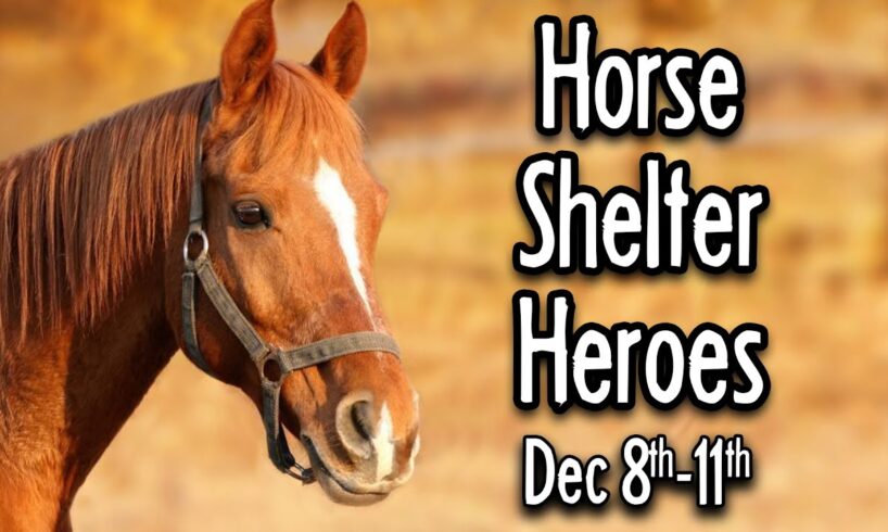 Horse Shelter Heroes | Dec 8-11, 2024