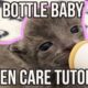 How to Care for a Bottle Baby Kitten (QUICK Tutorial!)