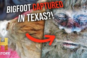 "I Killed Bigfoot" 4 SHOCKING TEXAS MYSTERIES | The Proof Is Out There