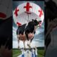 Incredible Animal Rescue: Against All Odds! Rescued Dairy Cow and Her Miracle Calves #cow #calf