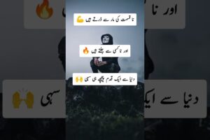 JOKER SHARO SHARI 2025💯🔥#tiktok#sheroshari#best tiktok#best short#best sheroshari#attitude#poetry