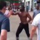 KNOCKOUT FIGHT COMPILATION 2024 #2