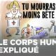 Le corps humain (partie 2) | Compilation | Tu mourras moins bête | ARTE