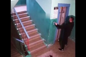 Man Rescues Dog Hanging From Elevator. dog rescue viral videos animal rescue