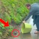 Man Saves Lost Rabbit in the Rain. You Won't Believe What Happened Next