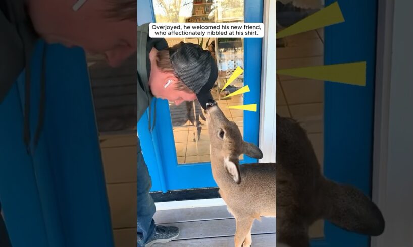 Man rescues deer and becomes its best friend #shorts