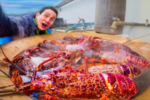 New Zealand LOBSTER BOIL!! Crayfish + Foot-Long Fish and Chips in Kaikōura!!