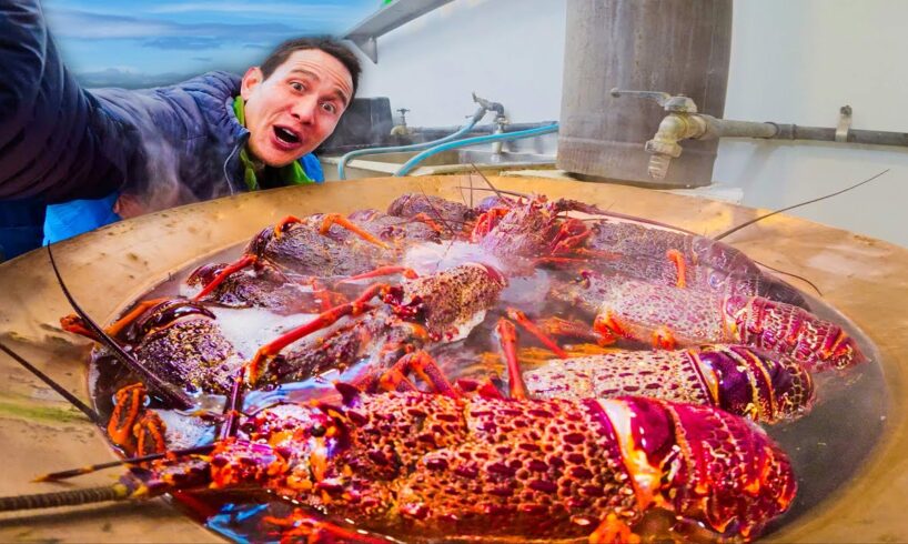 New Zealand LOBSTER BOIL!! Crayfish + Foot-Long Fish and Chips in Kaikōura!!