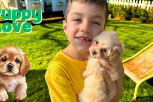 Oliver and Lucas Pet the Cutest Animals in the World 🐶 Cute Puppies 🐾  Educational Videos for Kids