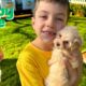 Oliver and Lucas Pet the Cutest Animals in the World 🐶 Cute Puppies 🐾  Educational Videos for Kids