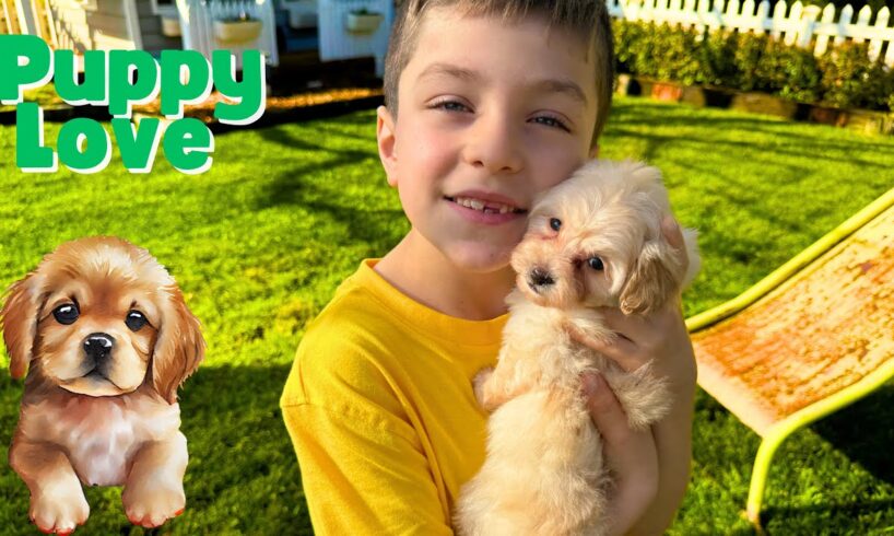 Oliver and Lucas Pet the Cutest Animals in the World 🐶 Cute Puppies 🐾  Educational Videos for Kids