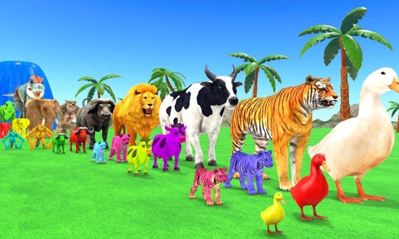 Paint Animals Duck,Tiger,Cow,Lion,Buffalo,Gorilla,Wolf,Elephant,Dinosaur Fountain Crossing Animal