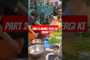 Part 2 anjing pintar #funny #pets #animals #doglover #dog #pets #dogshorts