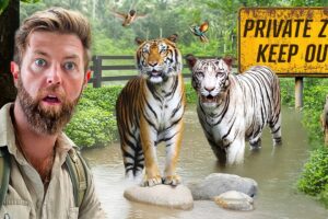 Private Tour of an Indian Billionaire’s Secret Wildlife Rescue Center