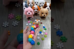 Rainbow 🌈 Satisfying Reverse video ASMR ( cute dog videos ASMR soud)#satisfyingreverse