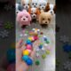 Rainbow 🌈 Satisfying Reverse video ASMR ( cute dog videos ASMR soud)#satisfyingreverse